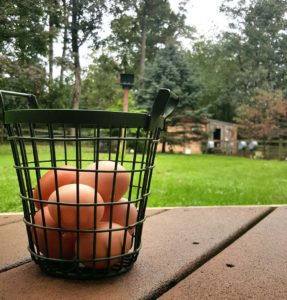 Egg basket on Mom's porch