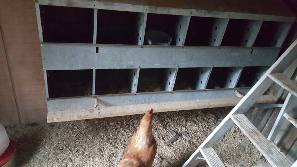 Mom's nesting boxes for chickens to lay eggs