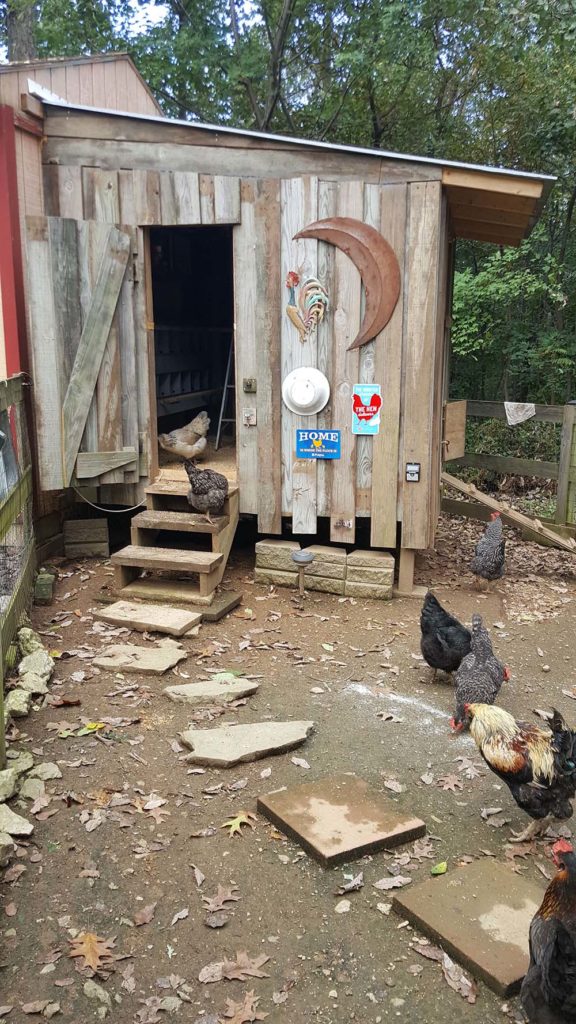 Mom's backyard chickens henhouse