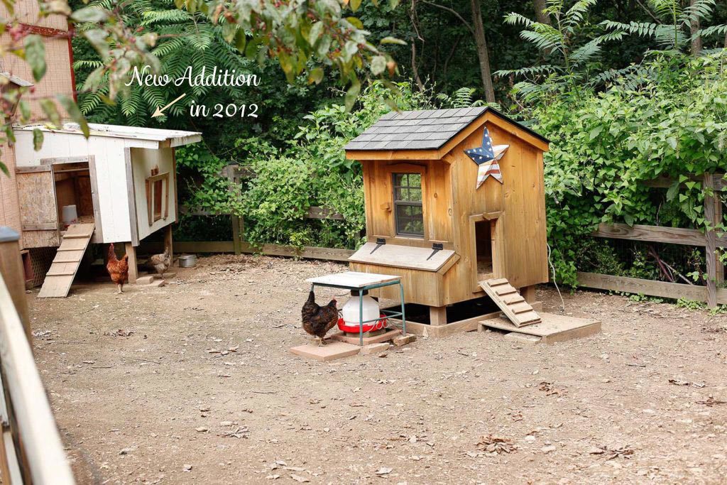 2012 Chicken hut addition