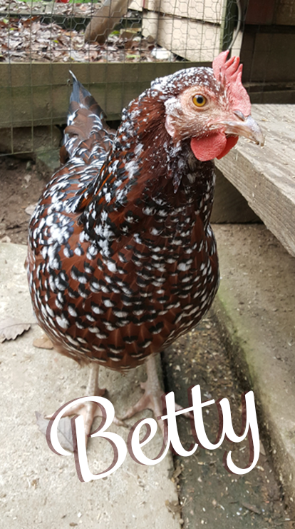 Mom's Chicken Betty